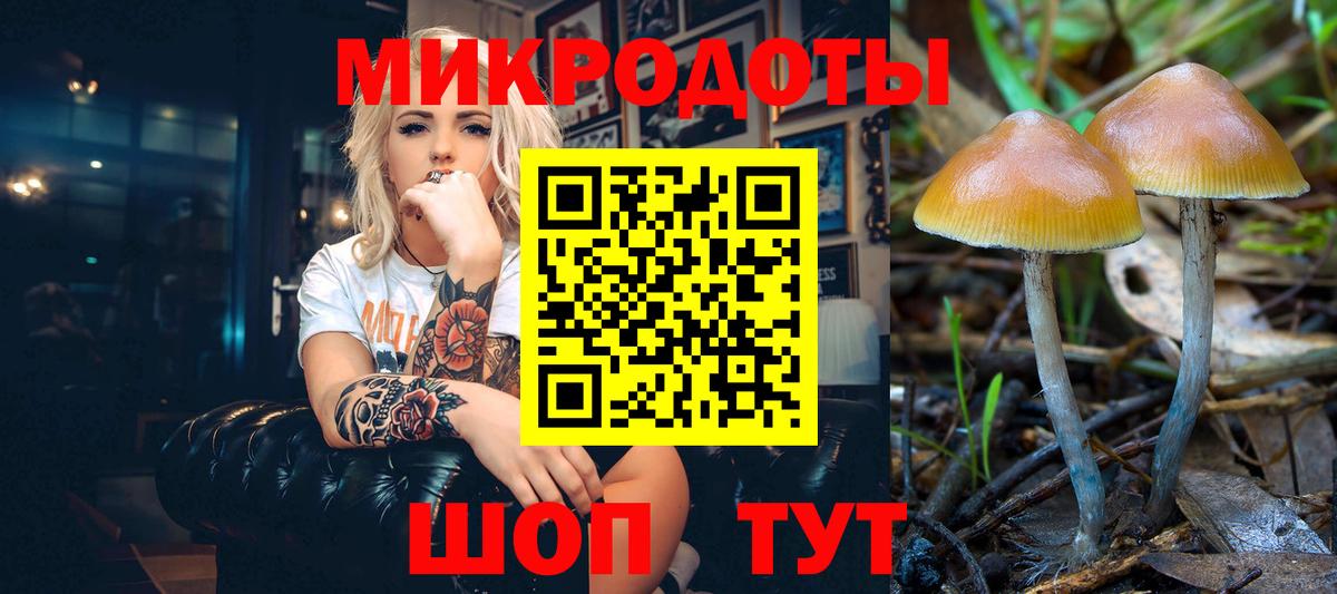 Галлюциногенные грибы MAGIC MUSHROOMS  Вход с VPN  Псилоцибиновые грибы прущие грибы  Пугачёв 